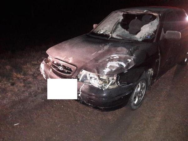 17-летний пешеход погиб на Ставрополье под колесами легковушки